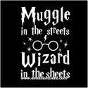 Camiseta Muggle Wizard (Harry Potter)